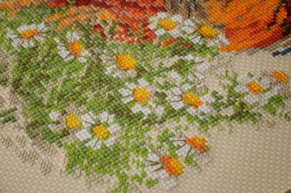 вышивка цветов ромашки