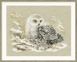Cross-stitch embroidery of a white owl with golden eyes, resting among snow-covered grasses. The owl’s feathers are detailed in white, grey, and black tones. Design from RIOLIS kit 1241 White Owl.