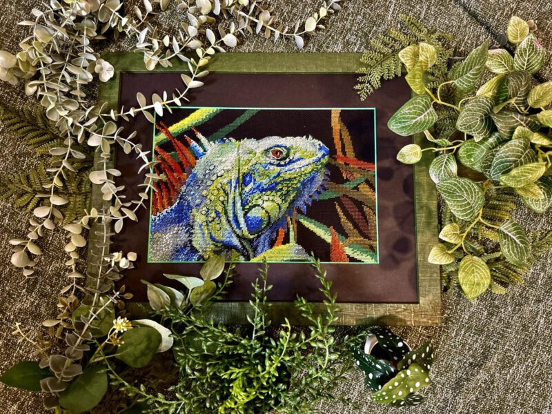 2192 Iguana Cross Stitch Kit with Aida fabric - Image 6