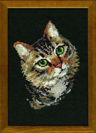 Cross-stitch design of a grey tabby cat with striking green eyes on a dark background.