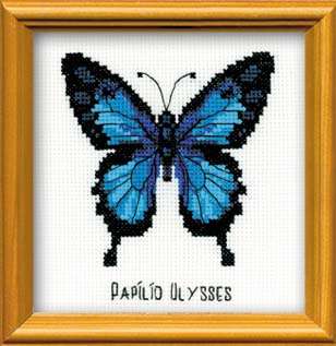 Cross-stitch of a vivid blue and black Ulysses butterfly with labeled text, framed in a warm golden frame.