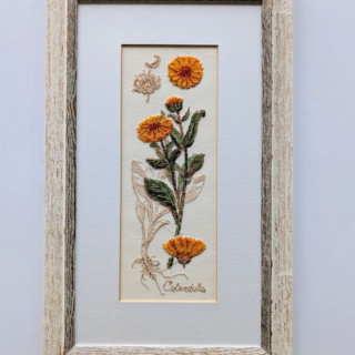 Stitched and framed embroidery artwork featuring a vertical botanical illustration of calendula flowers with yellow-orange blooms and delicate leaves.