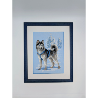 Framed and stitched cross-stitch artwork showing a husky dog standing in a snowy landscape with pine trees, wearing a blue harness.